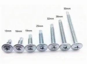 Galvanized Truss Head Self Drilling Screw