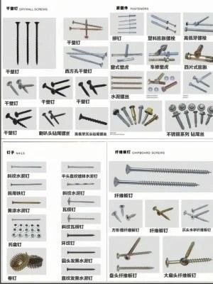 Galvanized Truss Head Self Drilling Screw